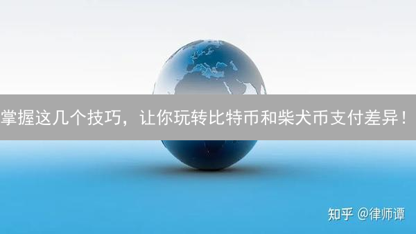掌握这几个技巧，让你玩转比特币和柴犬币支付差异！