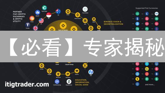【必看】专家揭秘：如何在币安挑选最佳加密货币投资组合？
