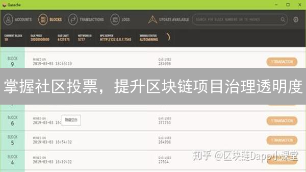 掌握社区投票，提升区块链项目治理透明度？
