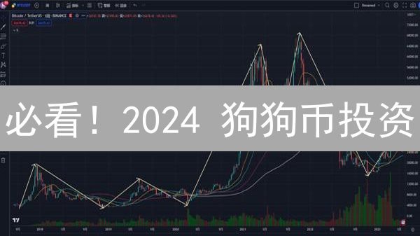 必看！2024 狗狗币投资：仅限 100 人的财富密码！