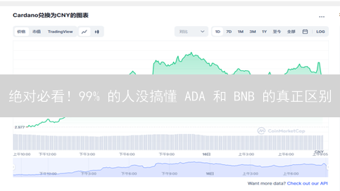 绝对必看！99% 的人没搞懂 ADA 和 BNB 的真正区别