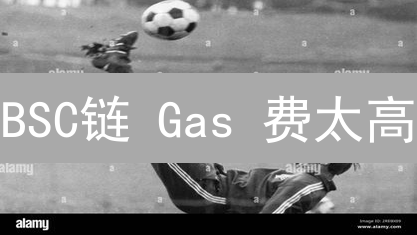 BSC链 Gas 费太高？试试这几个省钱绝招！