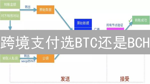 跨境支付选BTC还是BCH？三分钟看懂！