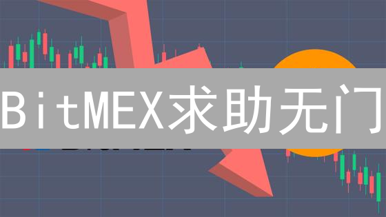 BitMEX求助无门？高效解决交易难题的终极指南！