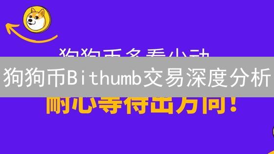 狗狗币Bithumb交易深度分析：2024年投资机会与风险展望