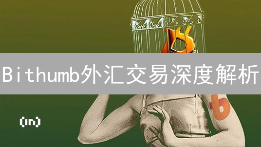 Bithumb外汇交易深度解析：5大优势与7大风险，投资前必读！
