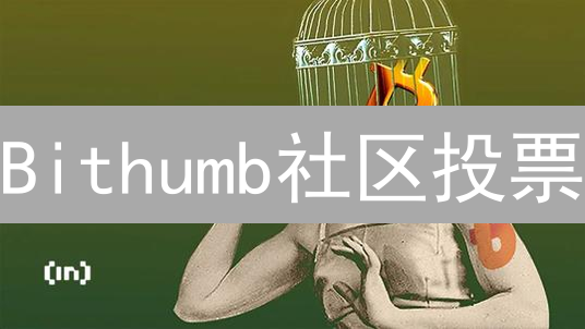 Bithumb社区投票：用户如何影响平台决策？权威解读与参与指南