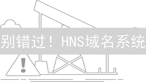 别错过！HNS域名系统：100人体验去中心化域名