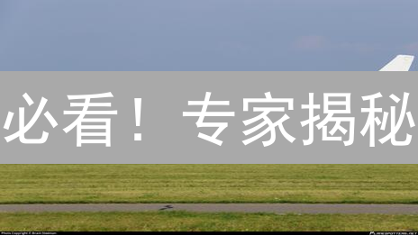 必看！专家揭秘：HTX平台轻松购买BCH和ETH的绝对指南