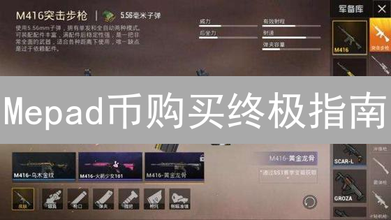 Mepad币购买终极指南：2024新手入门，告别踩坑！