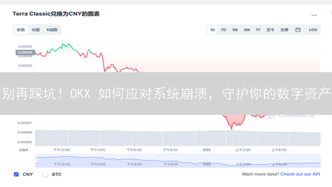别再踩坑！OKX 如何应对系统崩溃，守护你的数字资产？