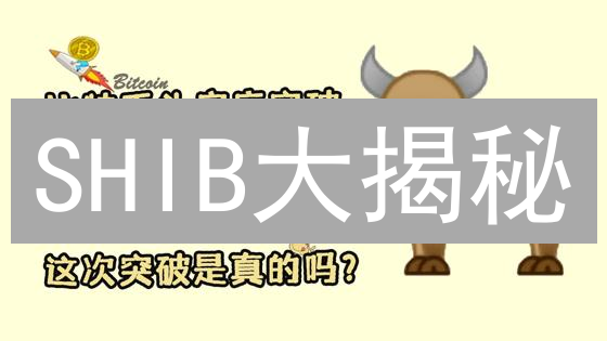 SHIB大揭秘：选以太坊还是欧易链？2024最新攻略！
