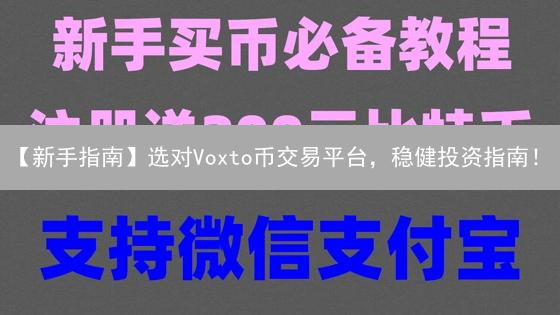 【新手指南】选对Voxto币交易平台，稳健投资指南！